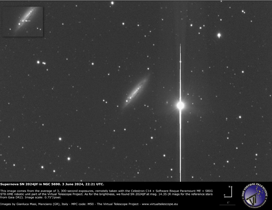 Astronomers investigate the evolution of a newly detected Type II supernova (SN&nbsp;2024jlf)