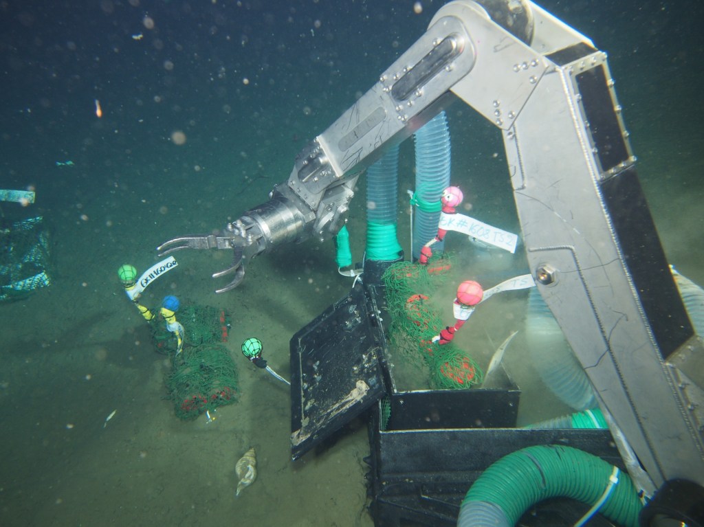 New ocean-friendly bioplastic degrades more than 80% in deep-sea&nbsp;conditions